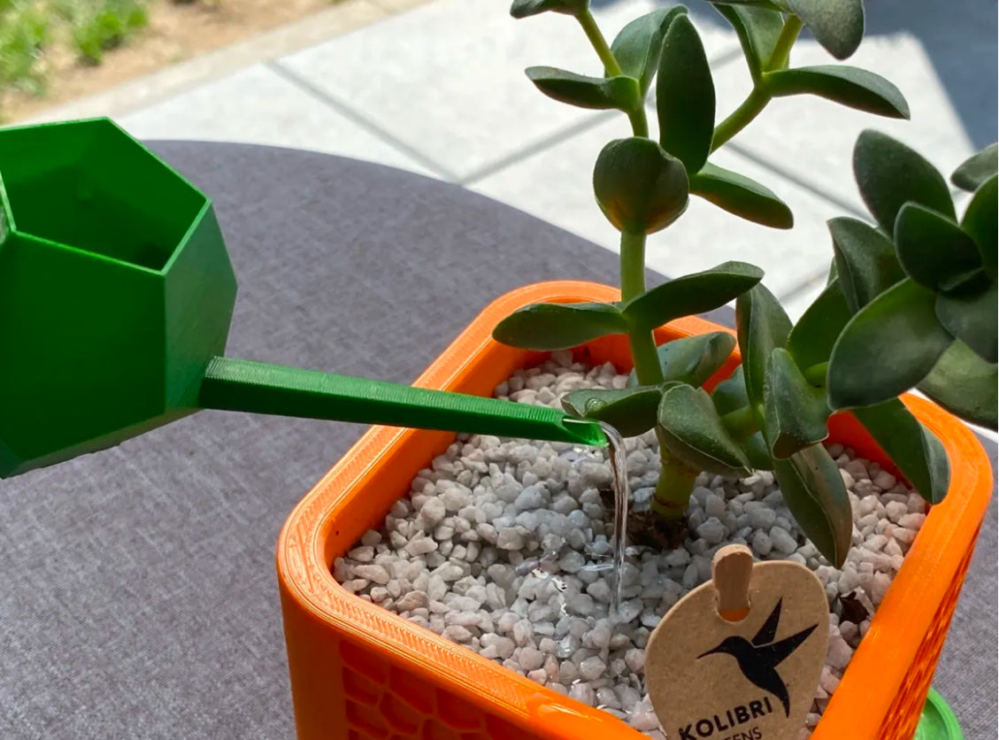Dodecahedron Watering Can