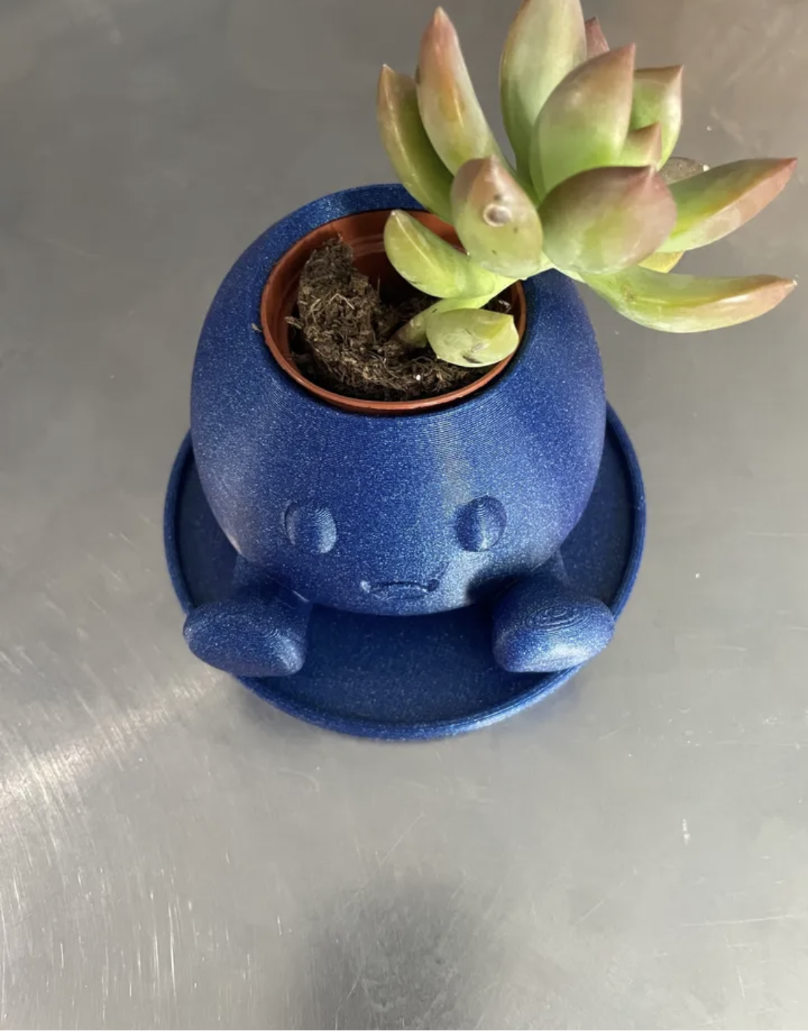 Oddish Planter
